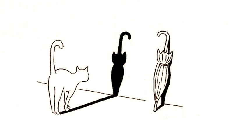 Cat and Umbrellas