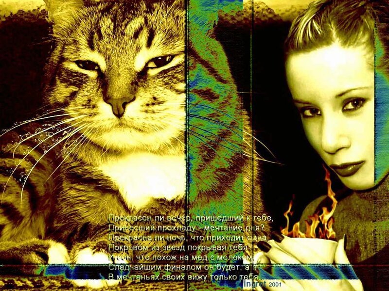 Cat and woman with text