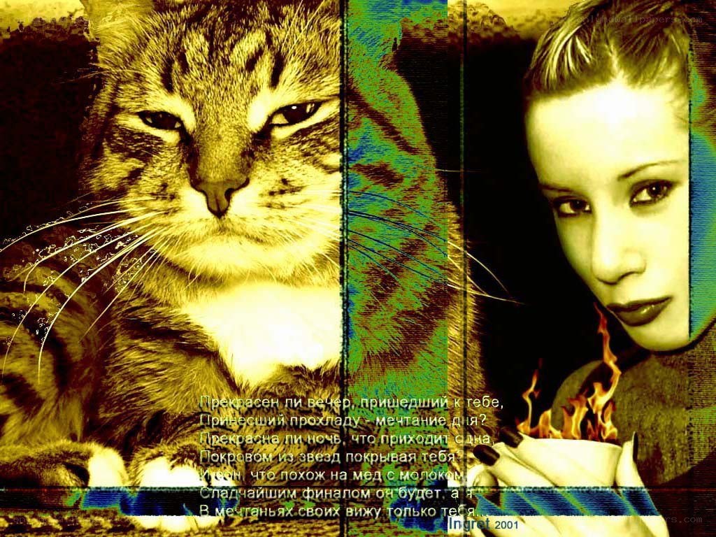 Cat and woman with text