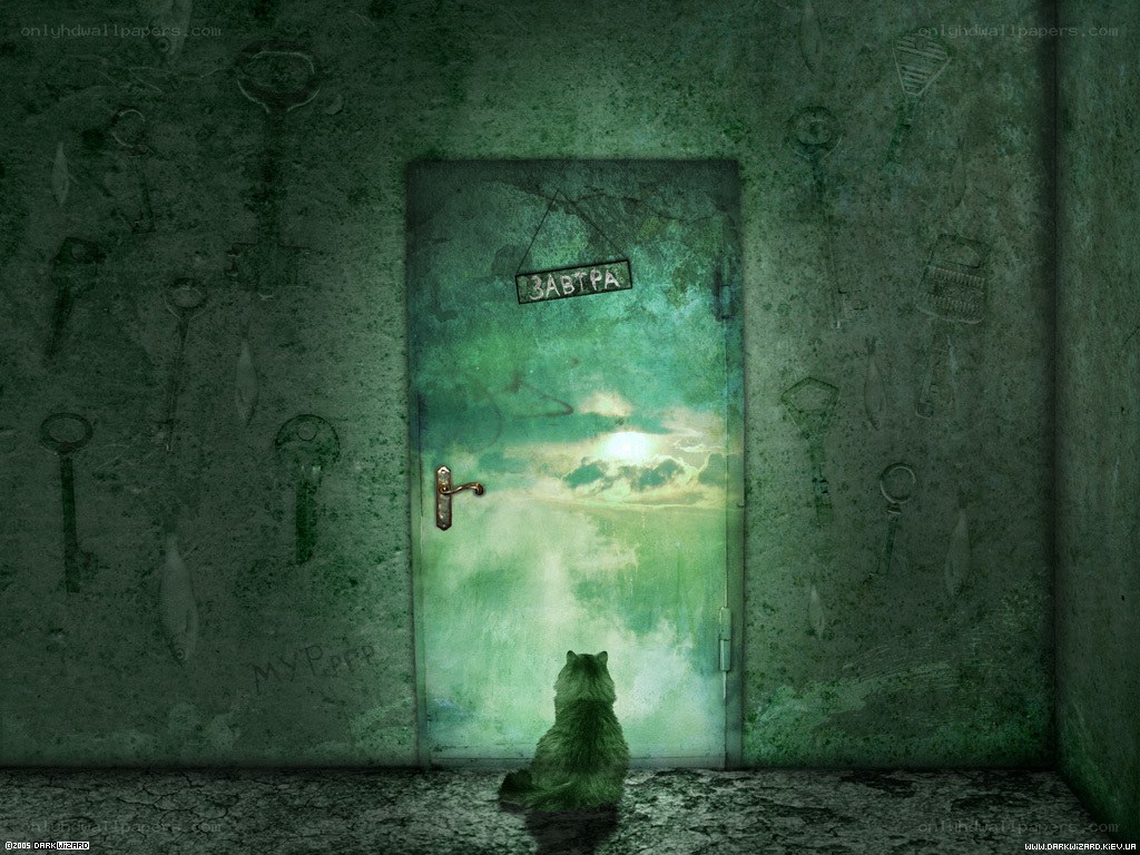 cat at a glowing door