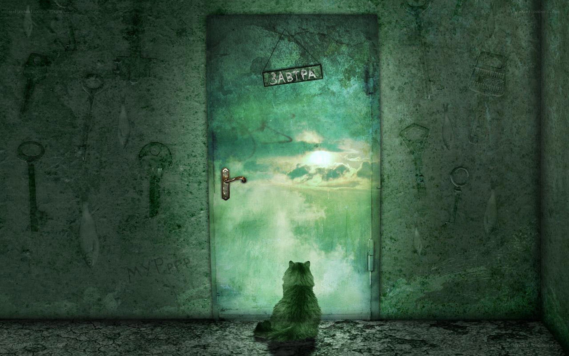 cat at a magical door