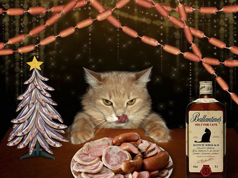 Cat at Holiday Table