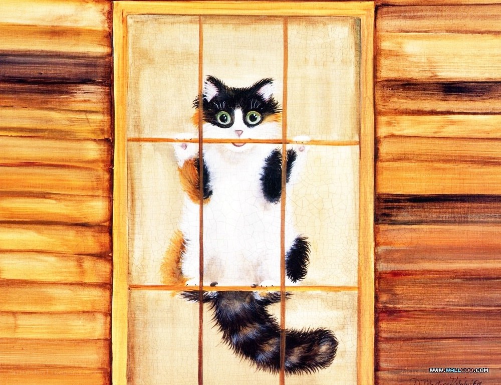 cat at the window