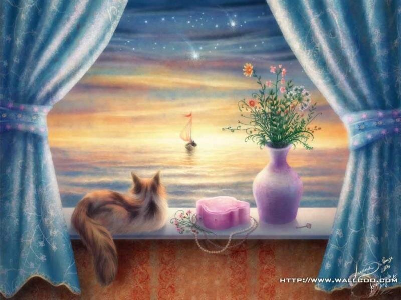 Cat at the window