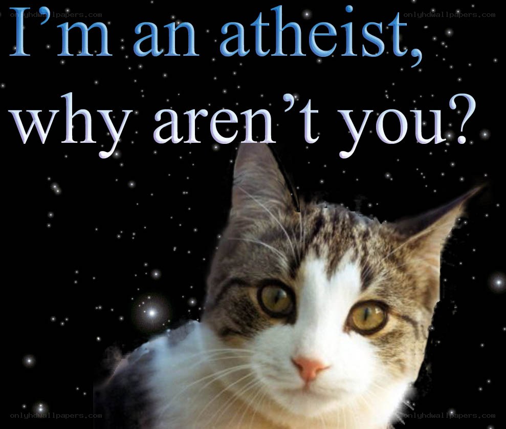 cat atheist meme