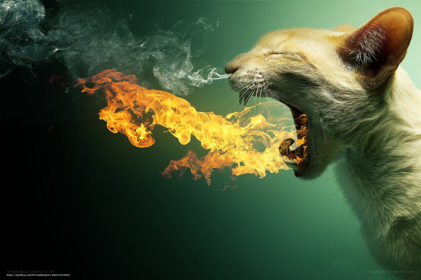 cat breathing fire and smoke
