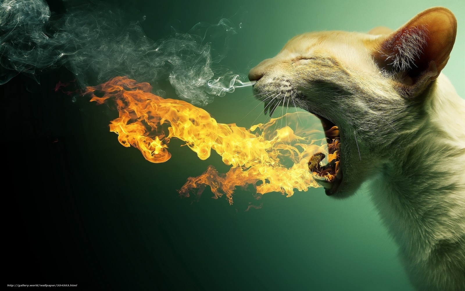 cat breathing fire and smoke