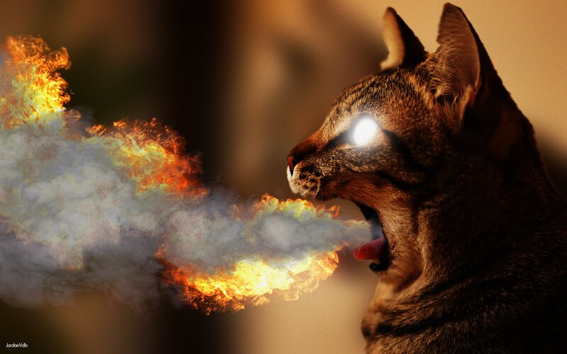 Cat Breathing Fire — Brown