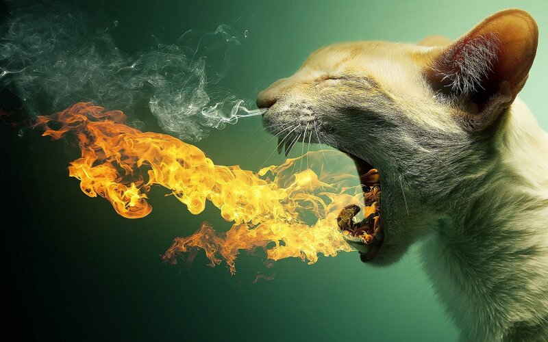 Cat Breathing Fire — Green, Dramatic