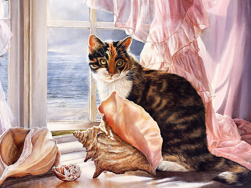 Cat by the window with seashells