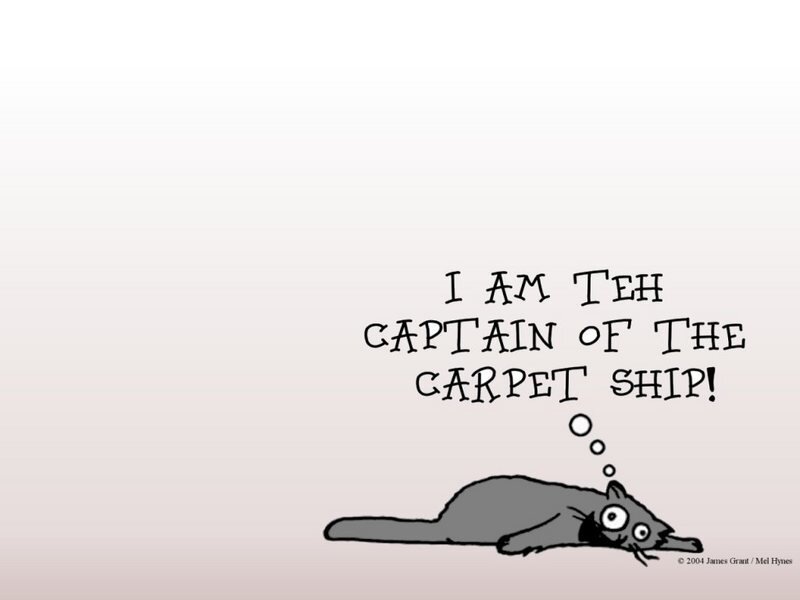 cat captain of the carpet ship