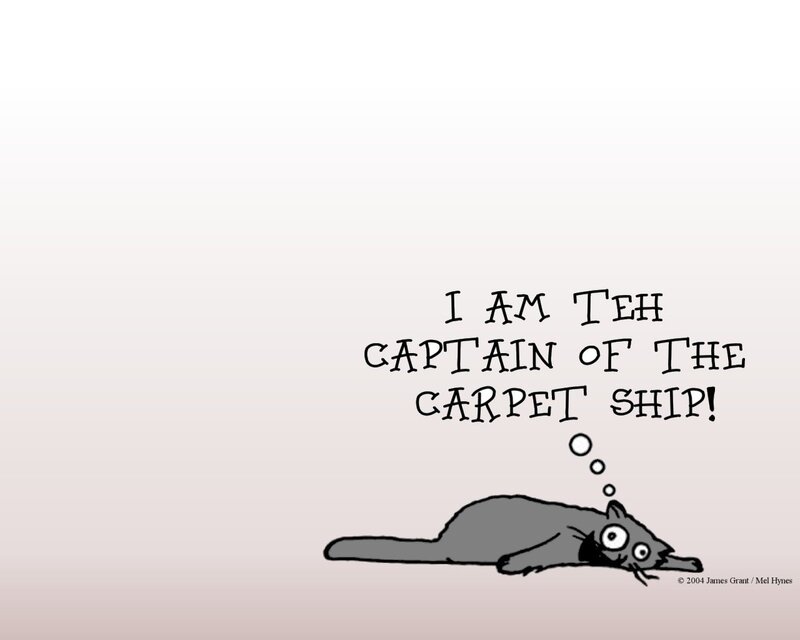 cat captain of the carpet ship