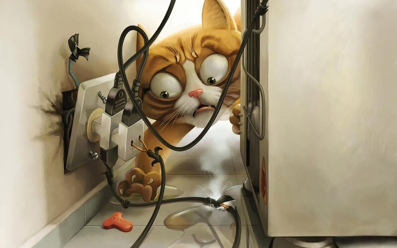 cat causes electrical fire