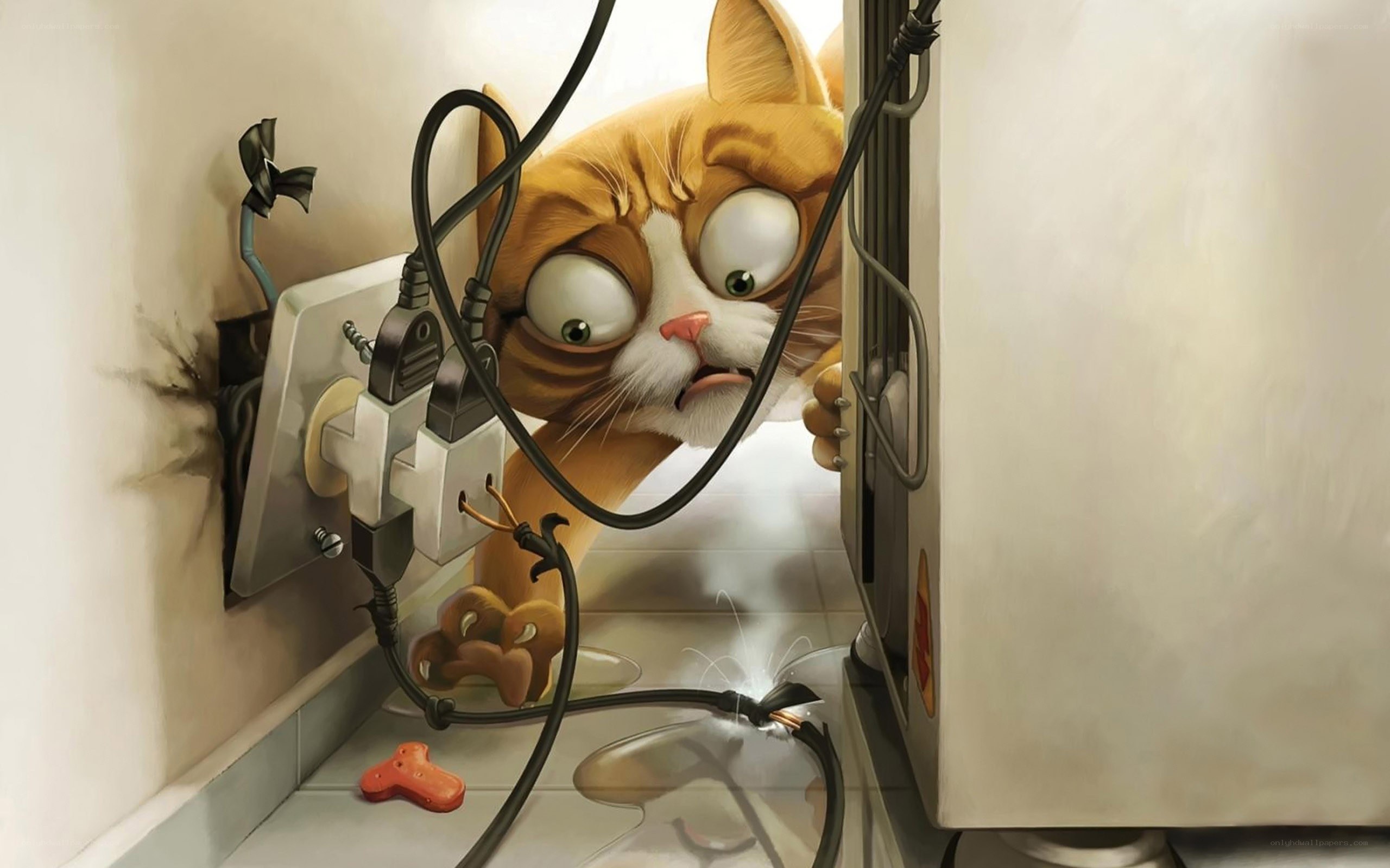 cat causes electrical fire