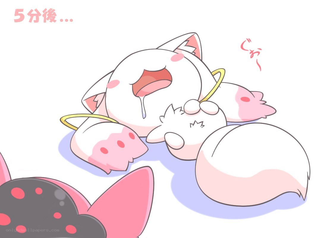 cat character sleeping