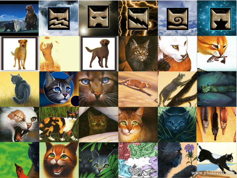 Cat Characters in Collage