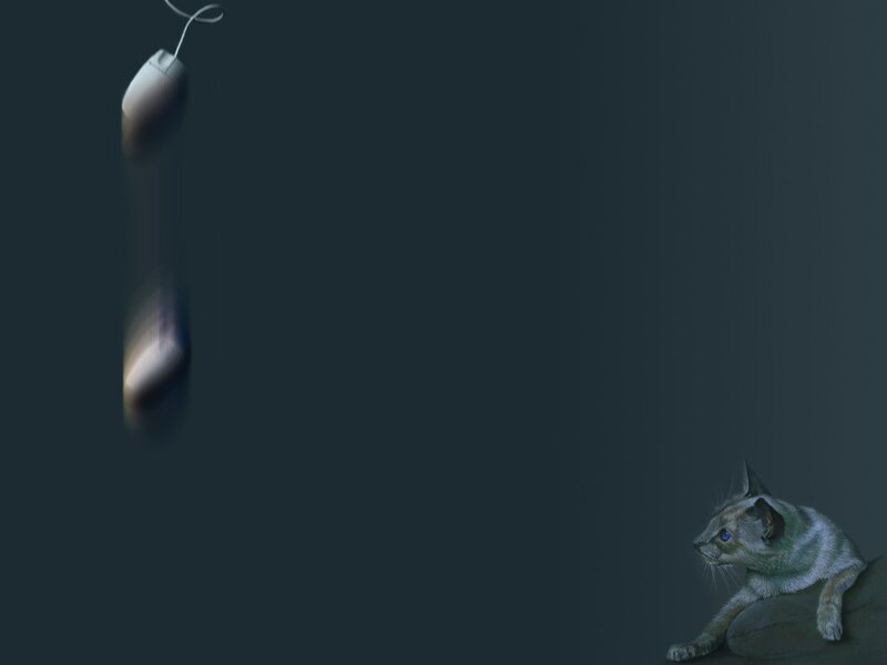 cat chasing computer mouse