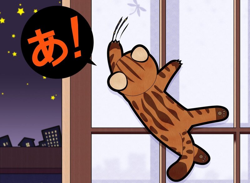 cat climbing window at night