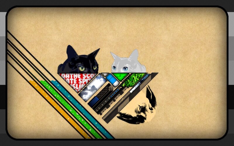 cat collage with geometric shapes