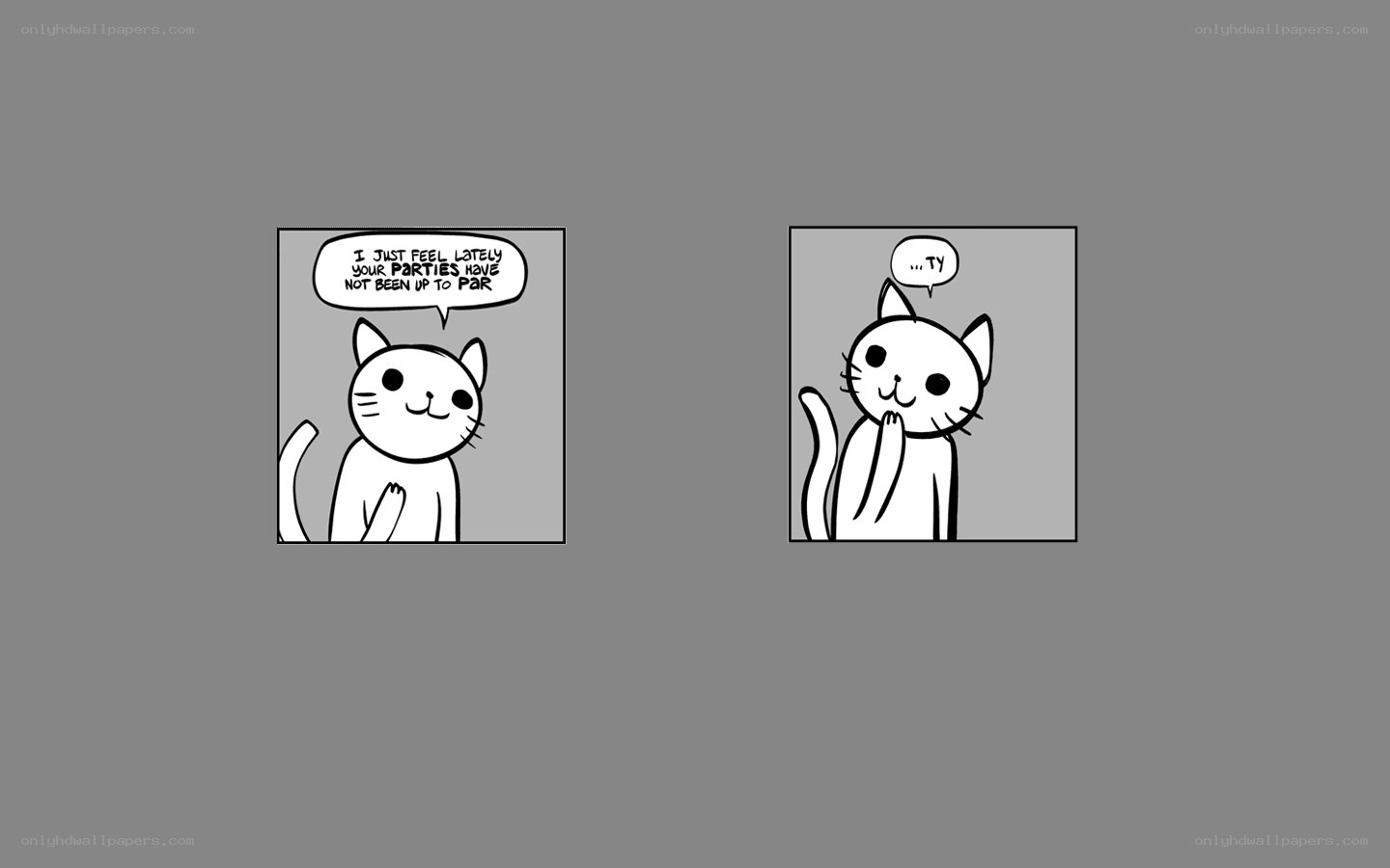 cat complains about parties
