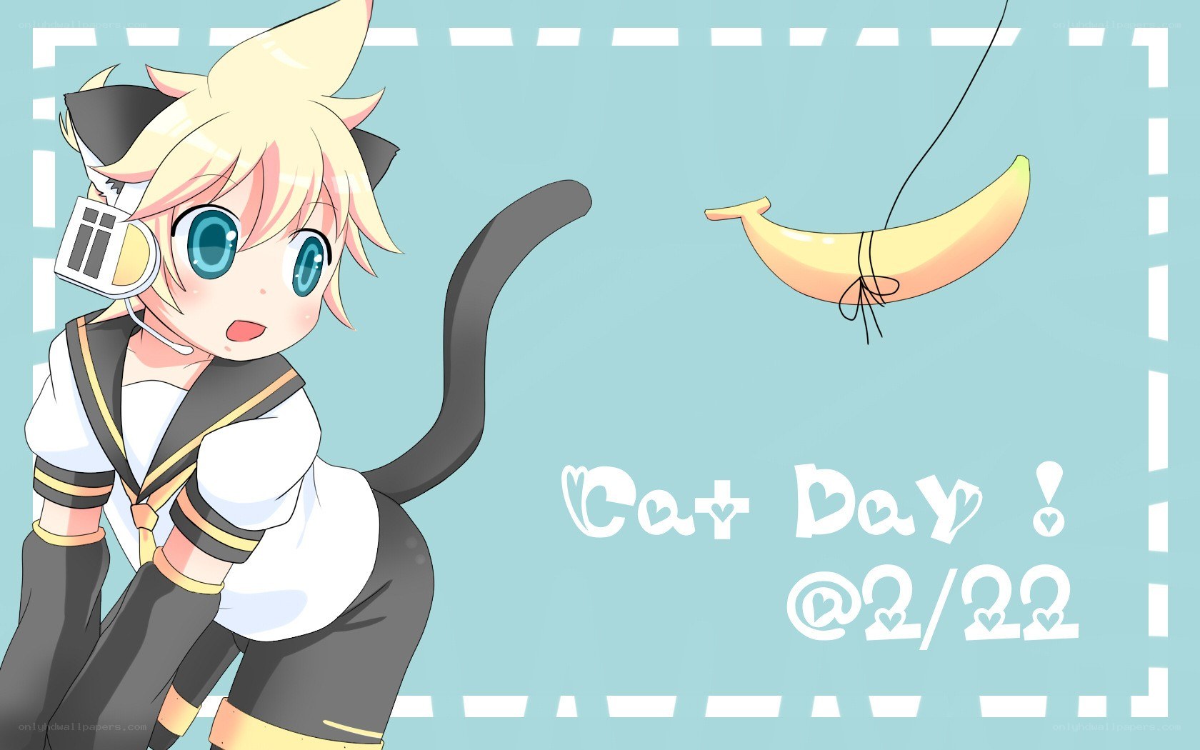 cat day illustration