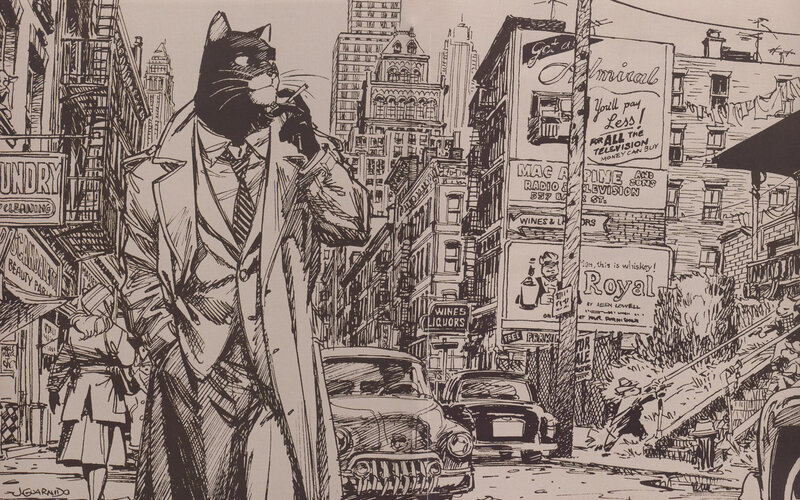 Cat detective in city street