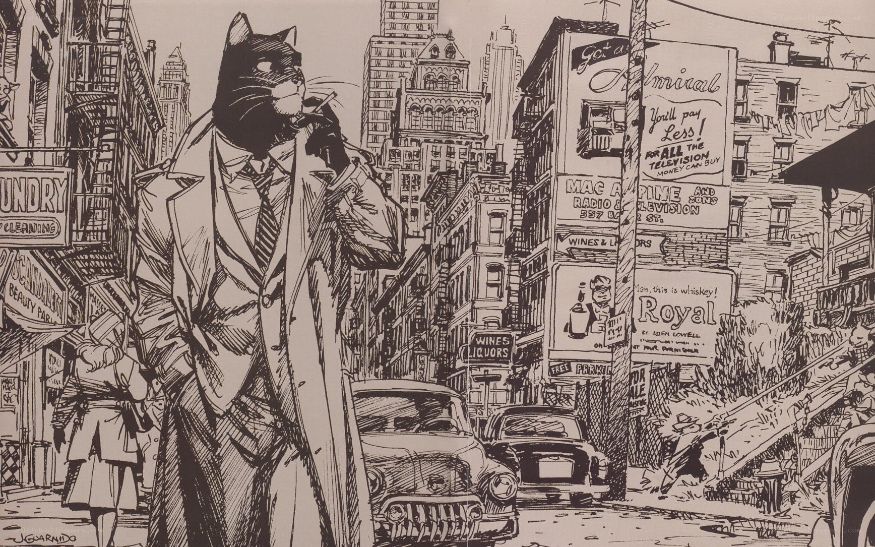 Cat detective in city street