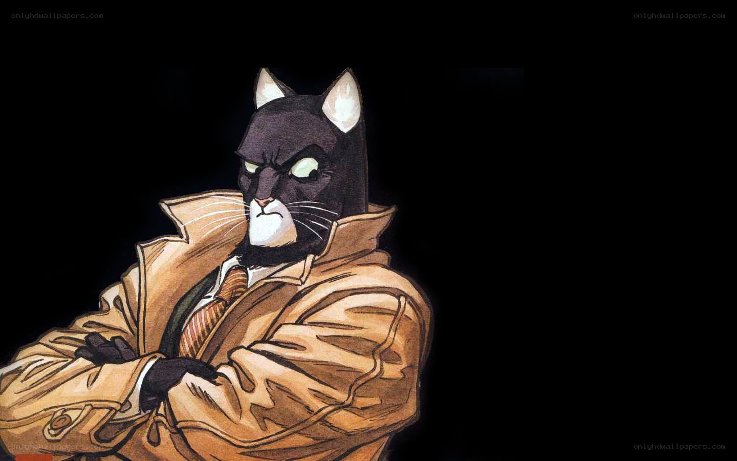 cat detective in trench coat