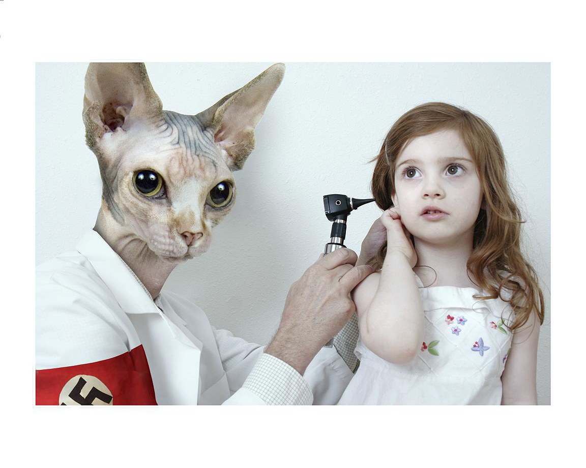 cat doctor examines child