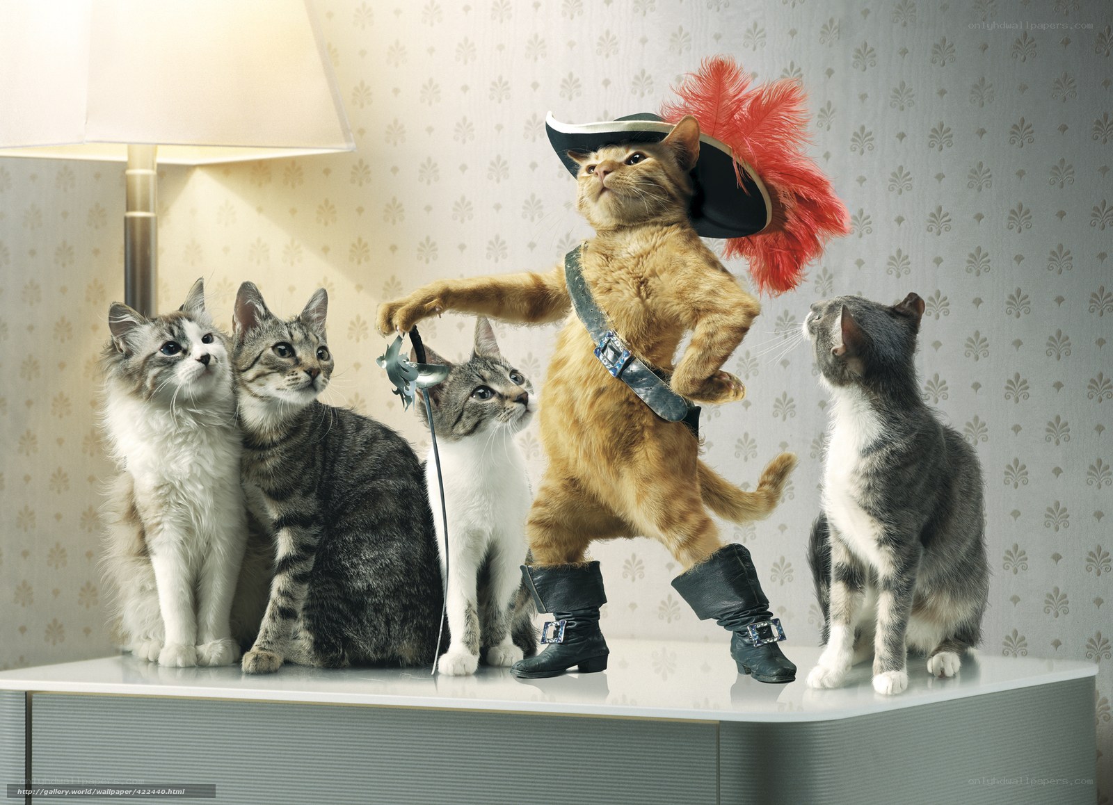 cat dressed as a musketeer