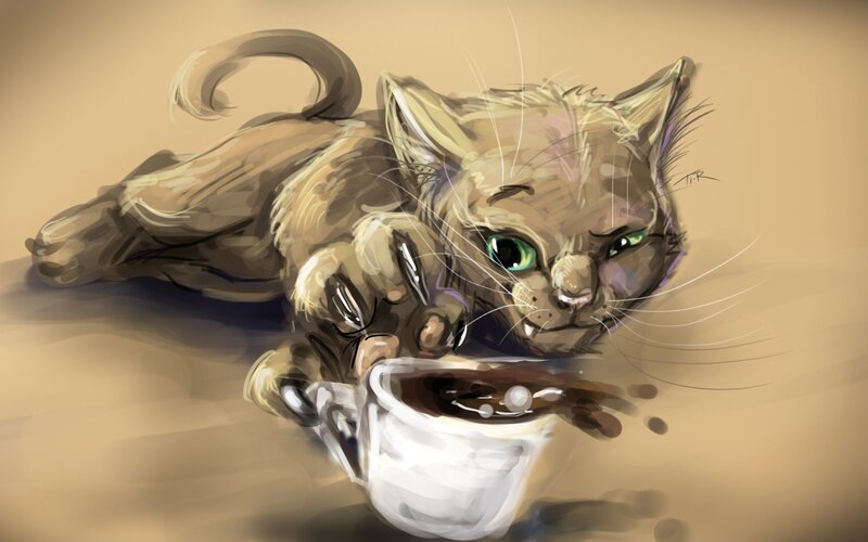 Cat Drinking Coffee — Brown