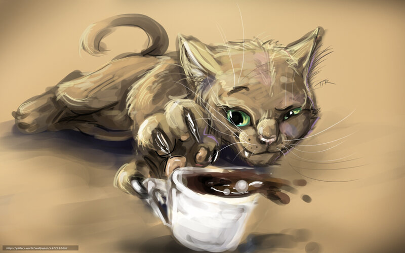 cat drinking coffee