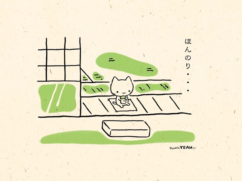 cat drinking tea