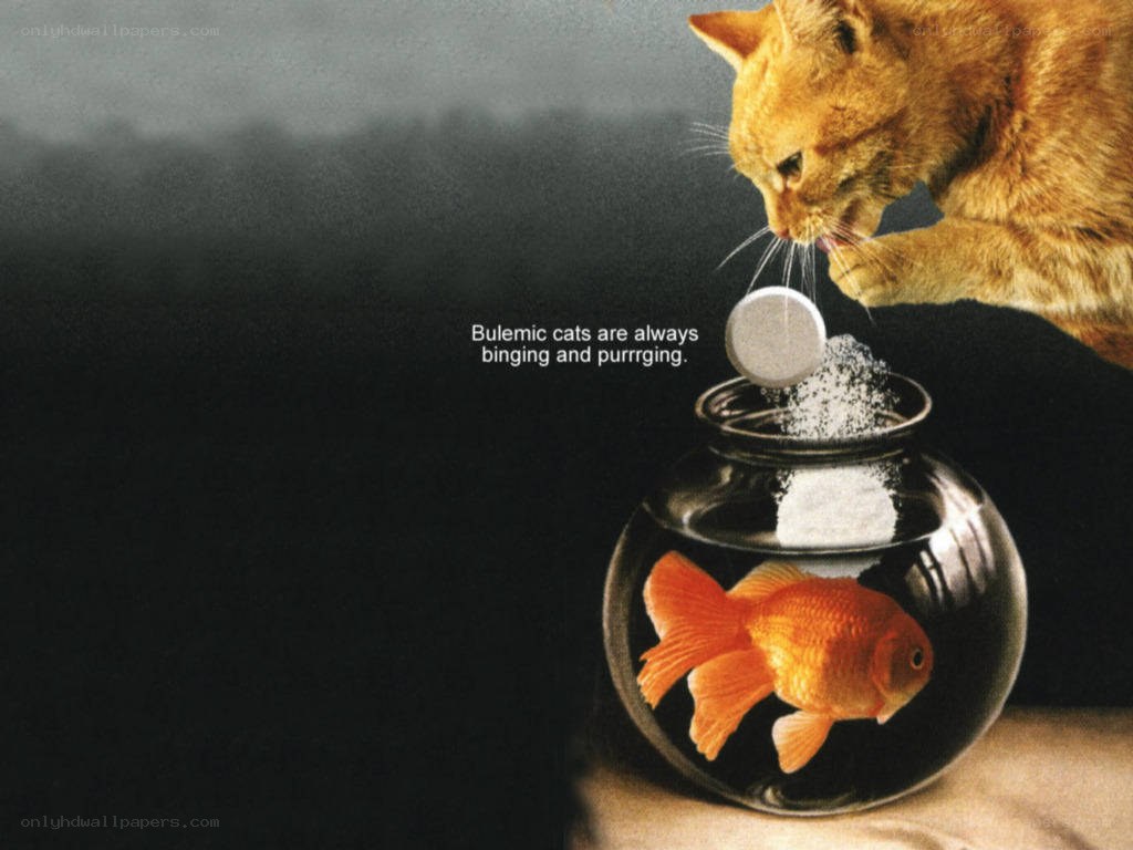 cat dropping pill into fishbowl