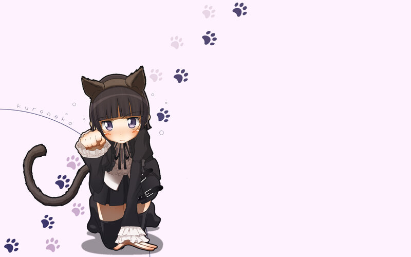 cat-eared anime girl