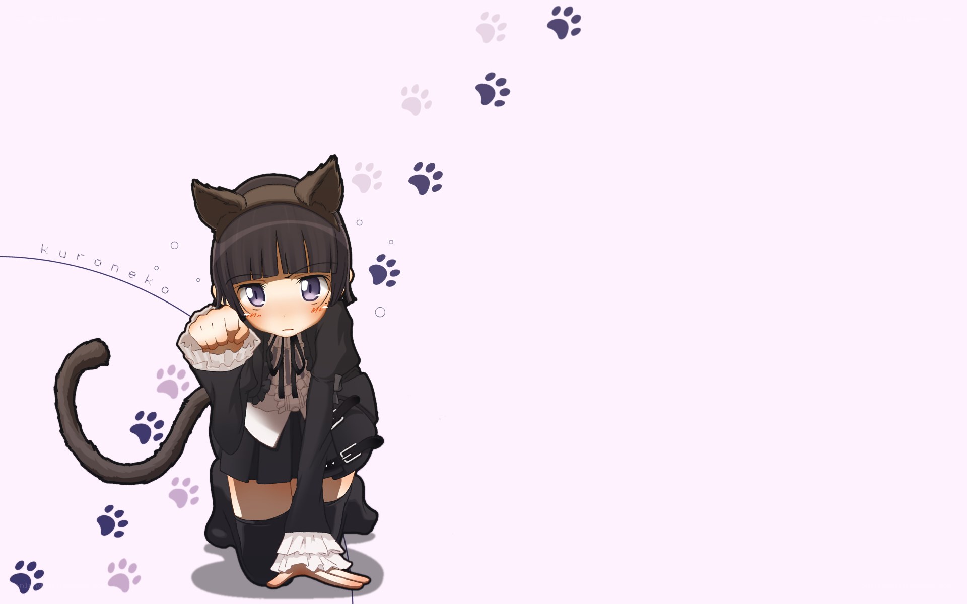 cat-eared anime girl