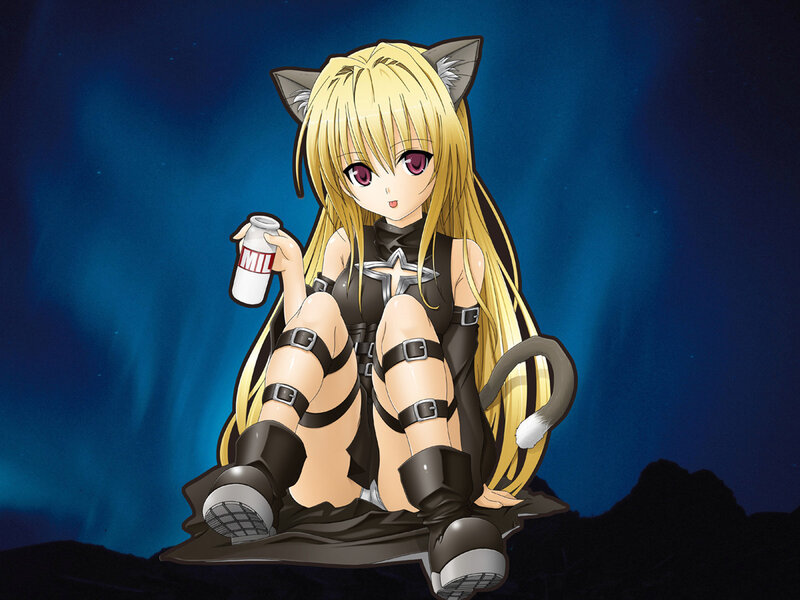 cat-eared anime girl with drink