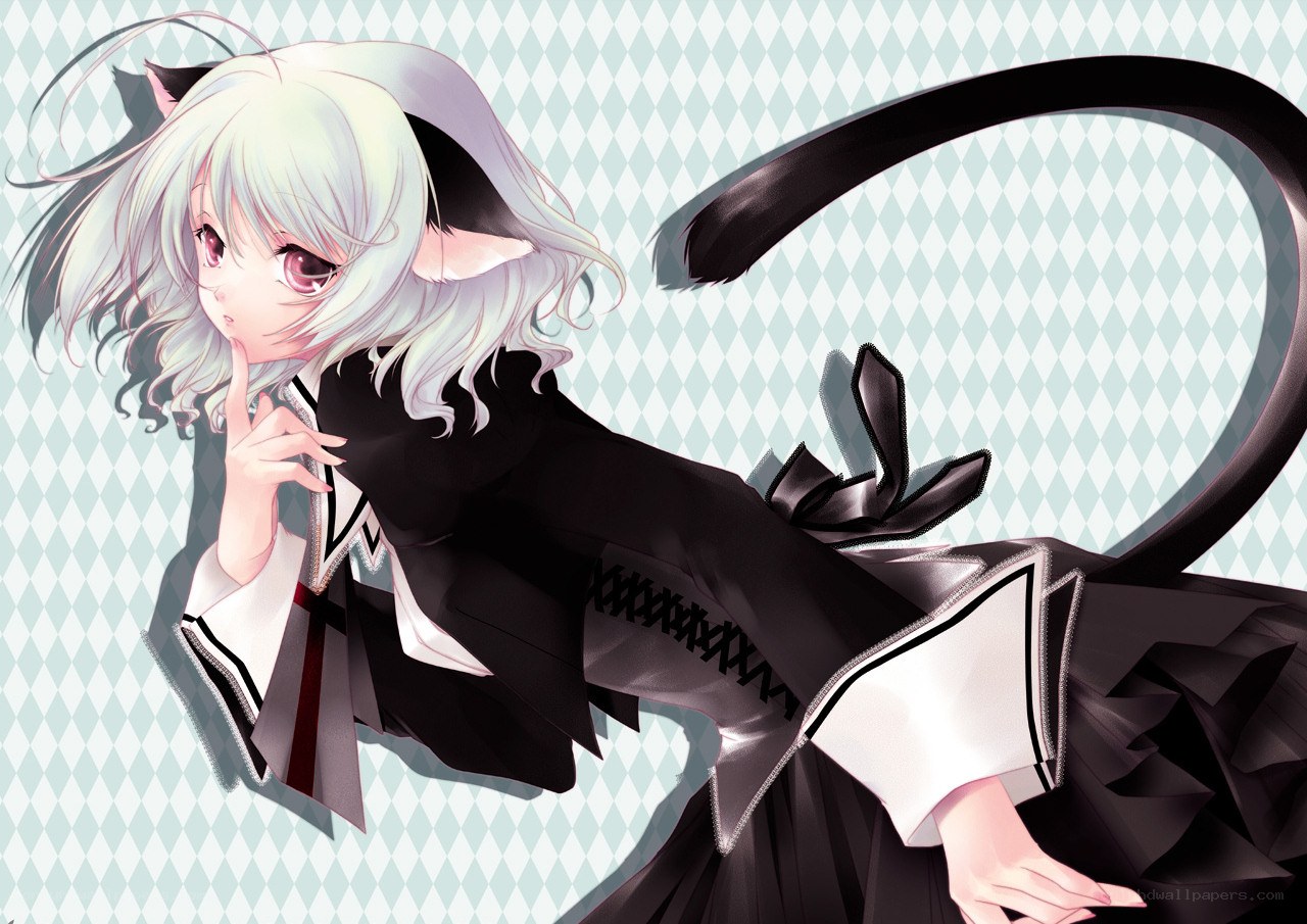 cat-eared anime girl