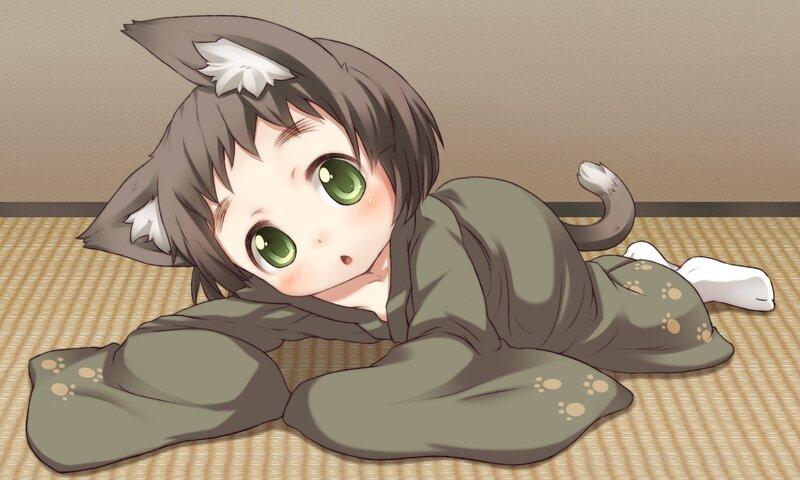 Cat-eared Child in Kimono