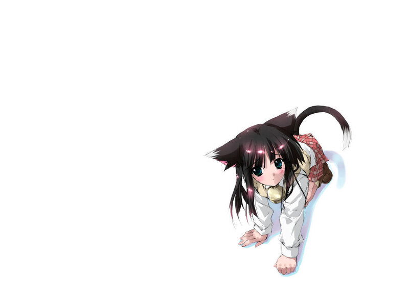 cat-eared girl crawling