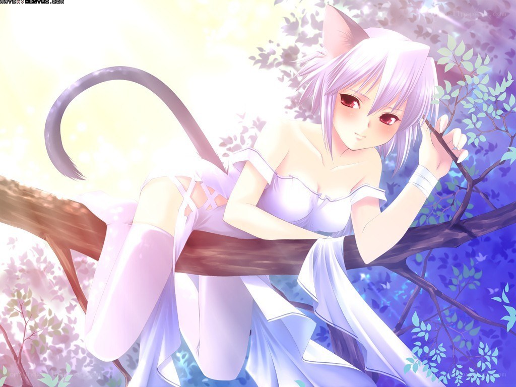 cat-eared girl in a tree