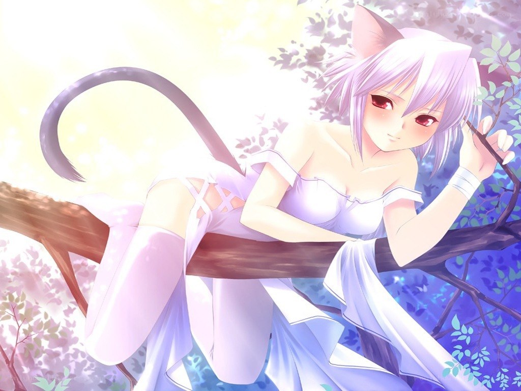 cat-eared girl in a tree