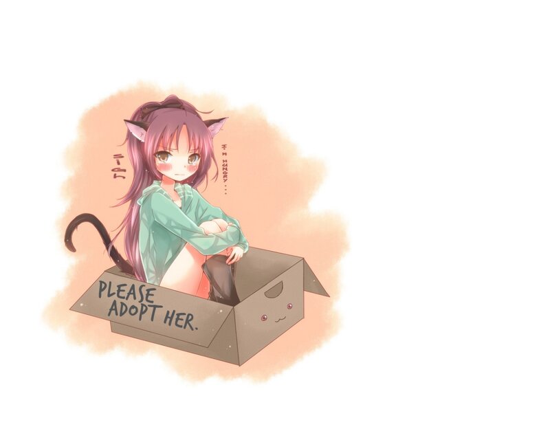 Cat-eared Girl in Box