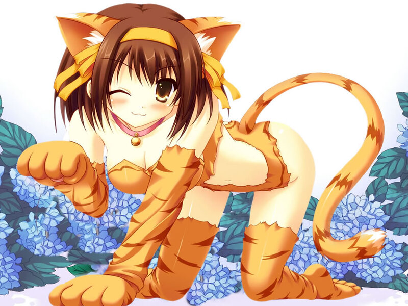 Cat-eared Girl in Costume — Orange