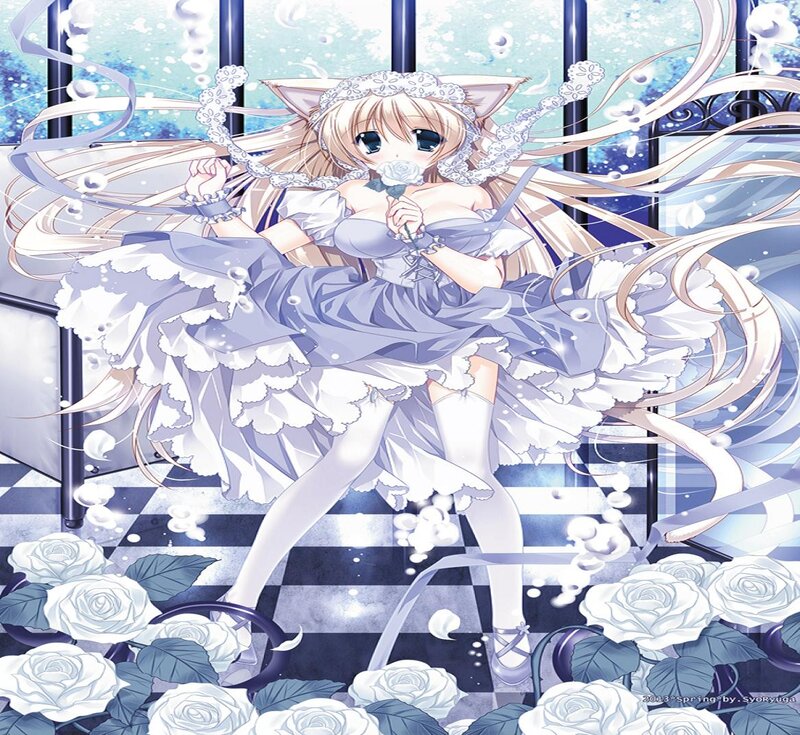 Cat-eared Girl in Dress — White