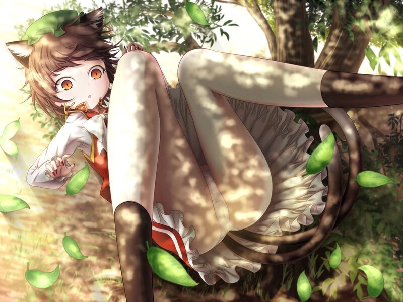 cat-eared girl in forest
