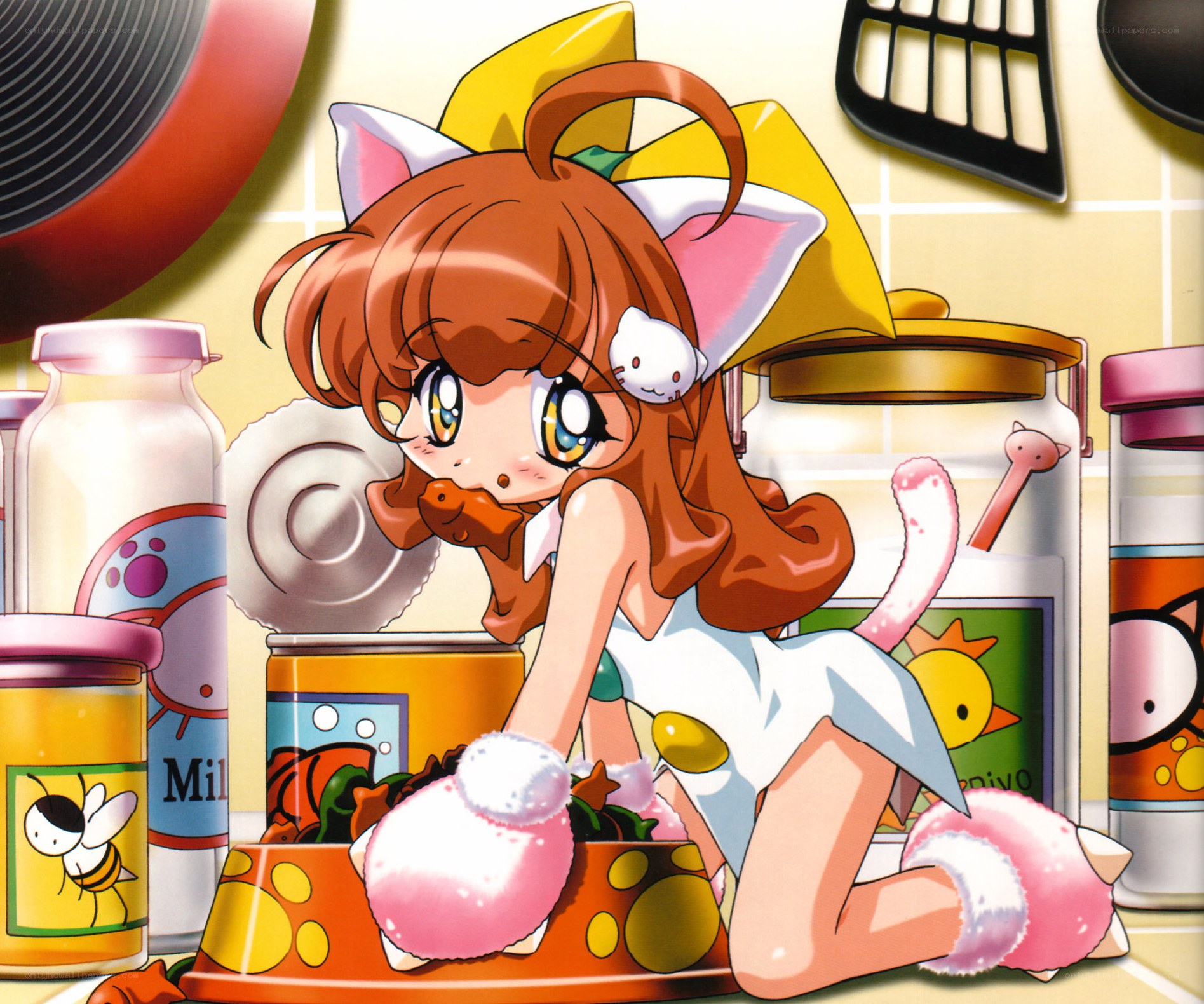 cat-eared girl in kitchen