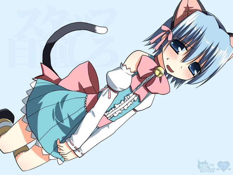 cat-eared girl in maid outfit