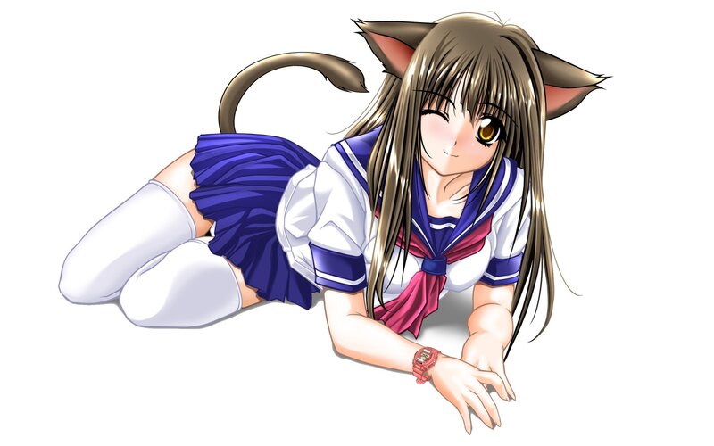 cat-eared girl in school uniform