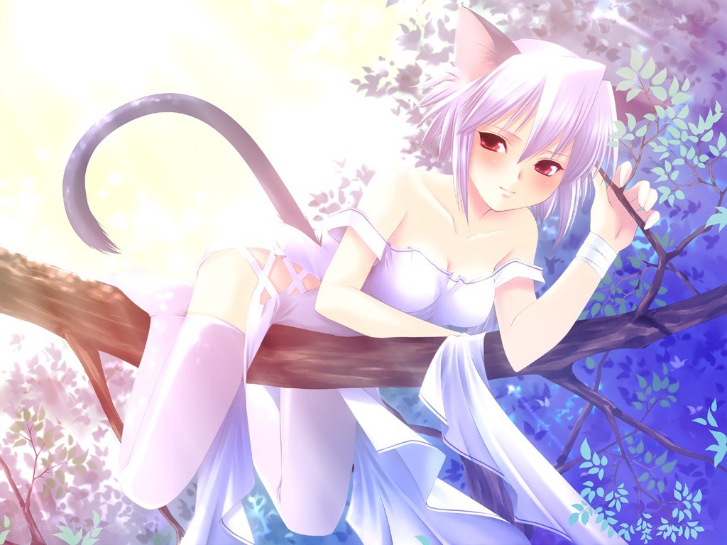 cat-eared girl in tree